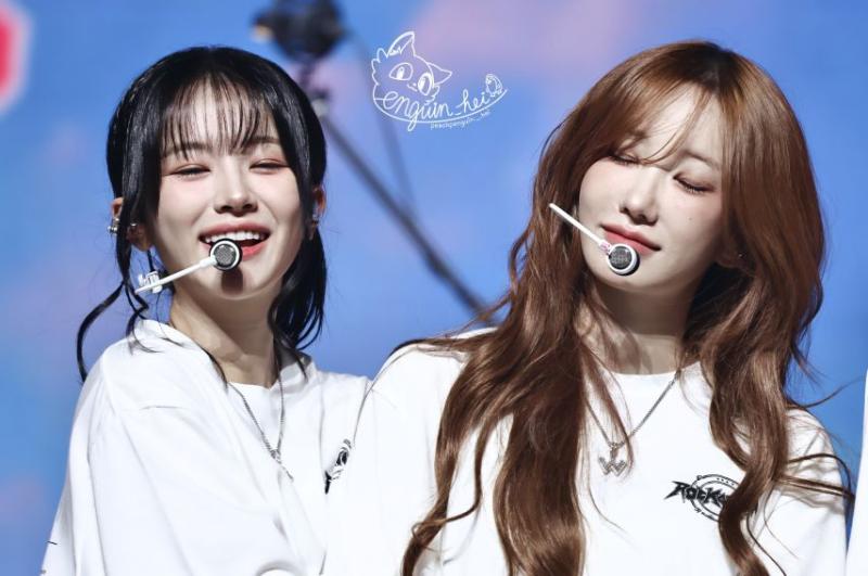 [QWER] 쵸단&마젠타