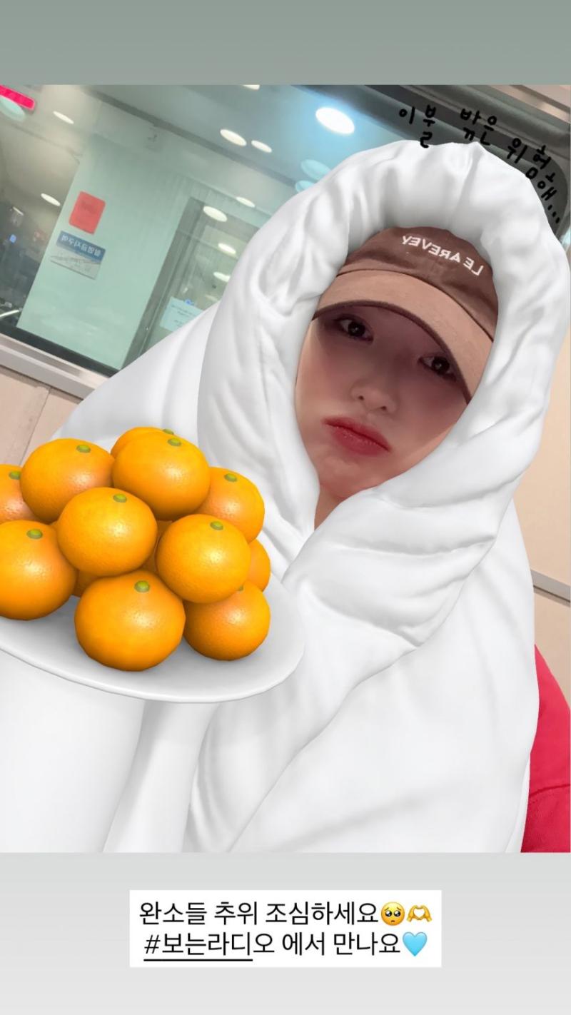 레드벨벳 웬디