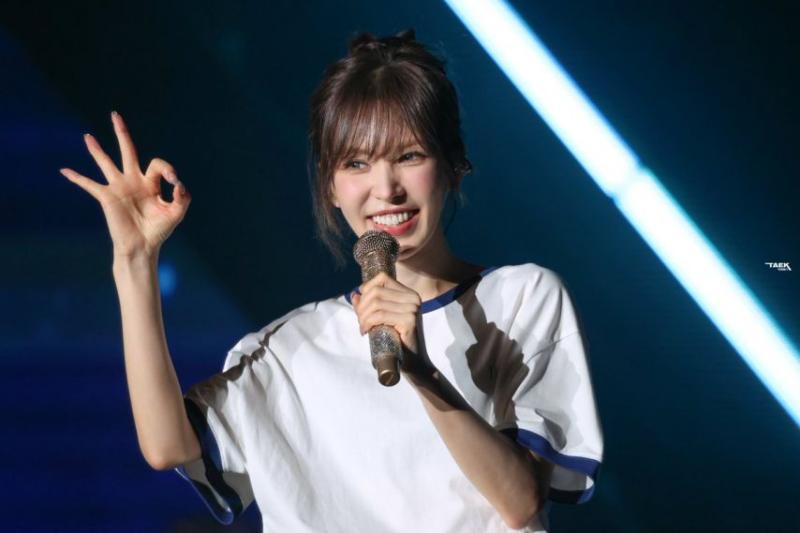 레드벨벳 웬디