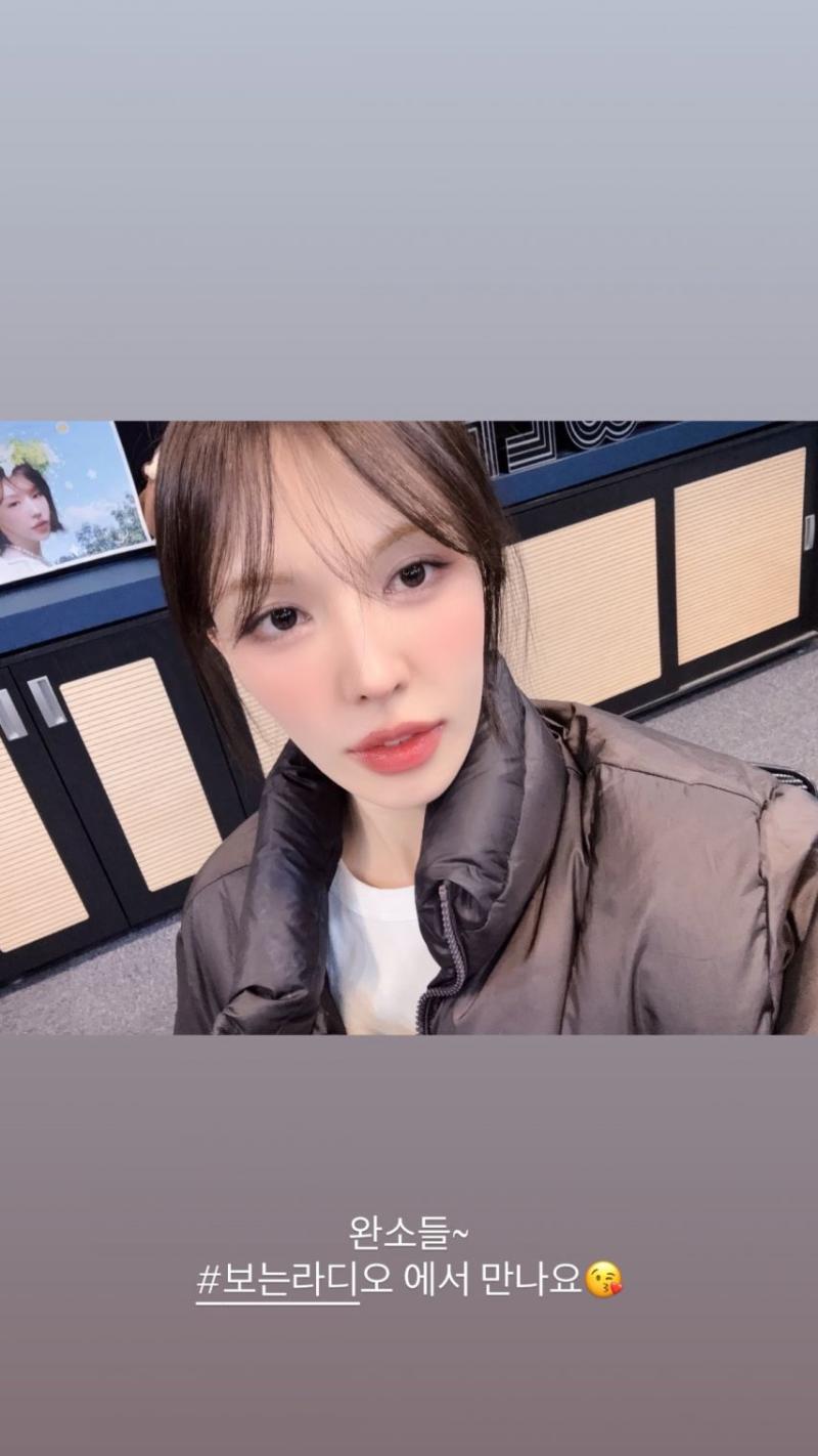 레드벨벳 웬디