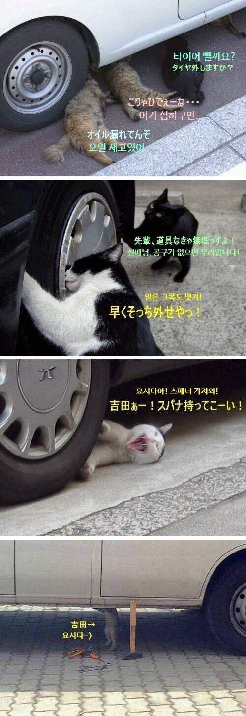 요시다 이거 좀 가져와