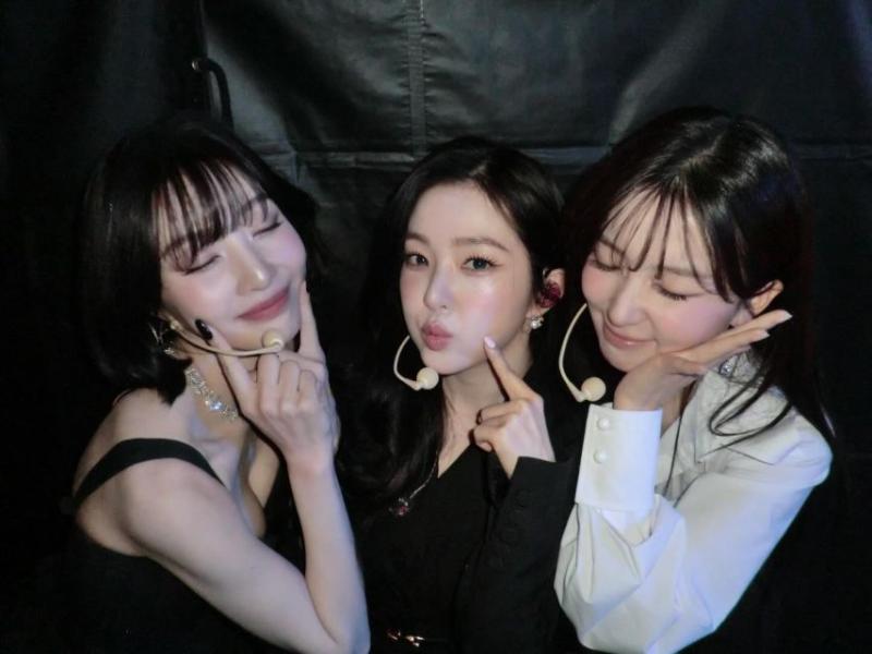 레드벨벳 조이