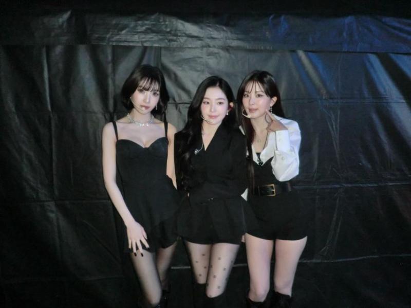 레드벨벳 조이