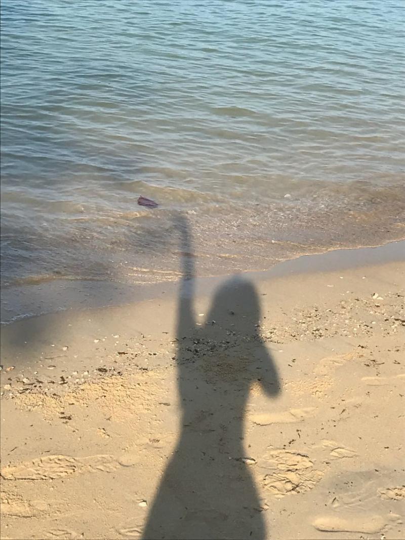베이비몬스터 치키타