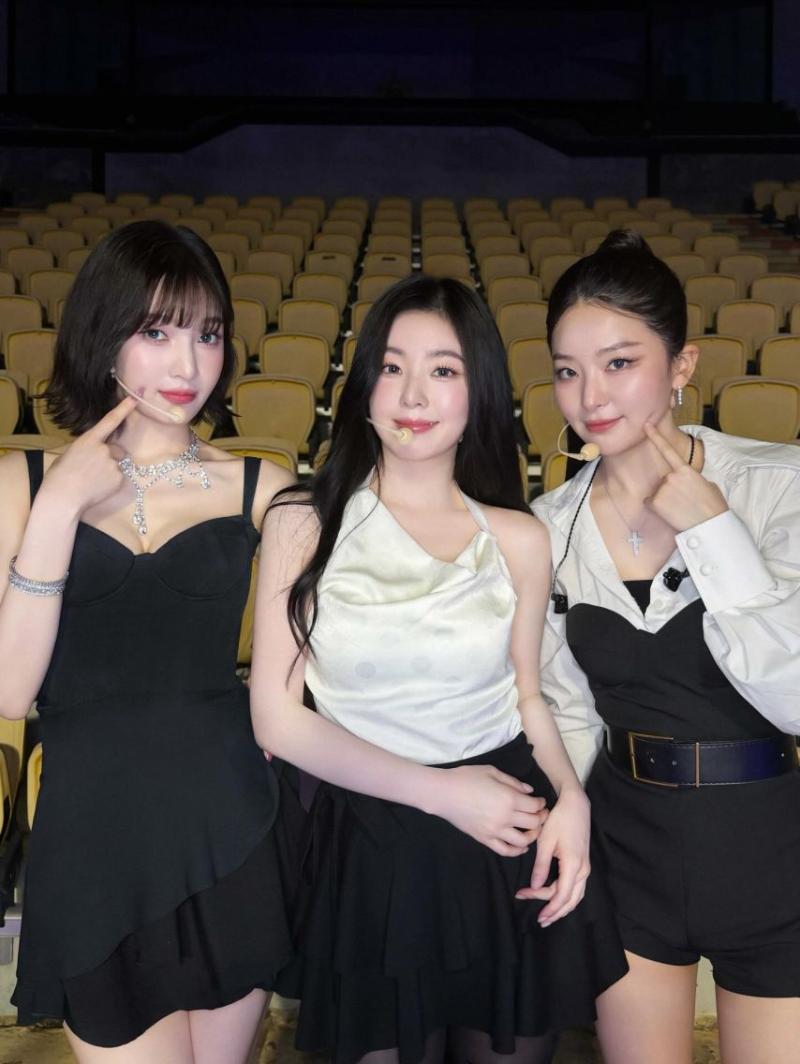 레드벨벳 조이