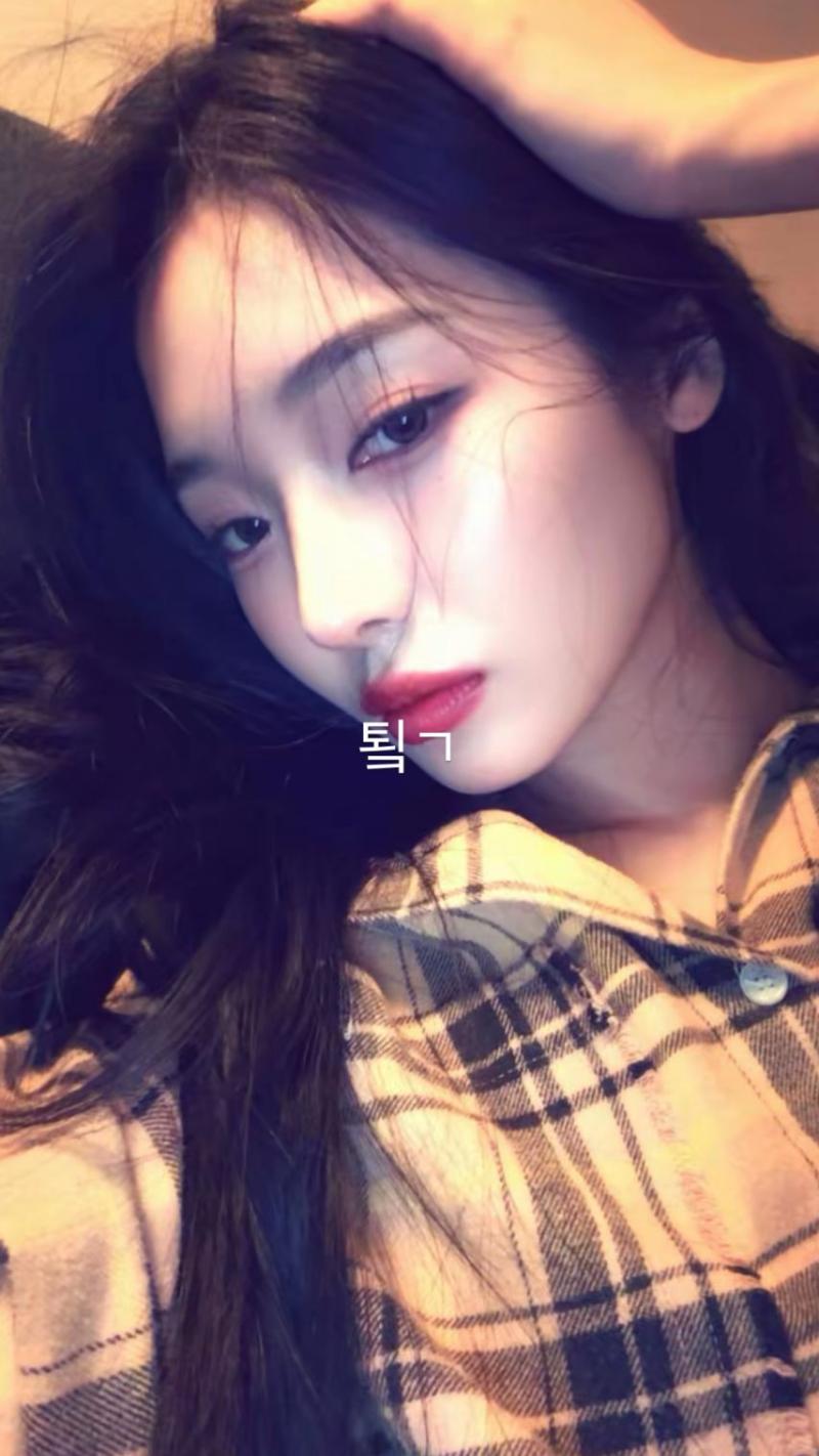 노지선