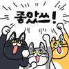진정한 에너지음료...