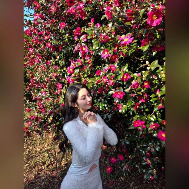 하연정