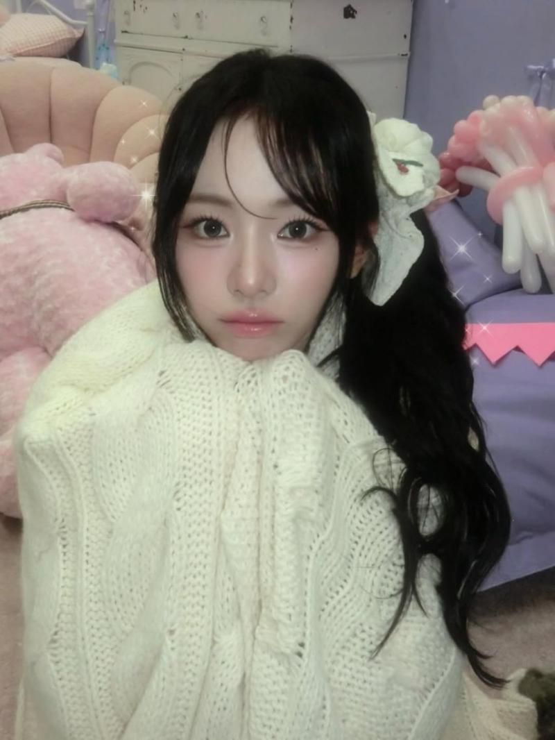 세이마이네임 슈이