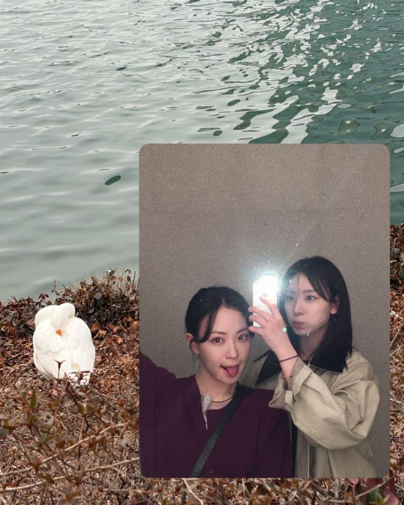한지효