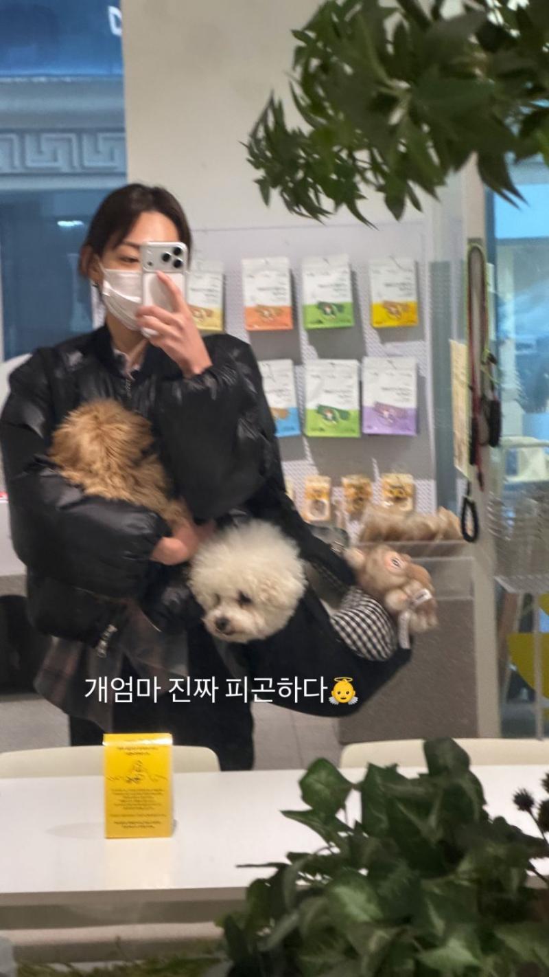 강미나