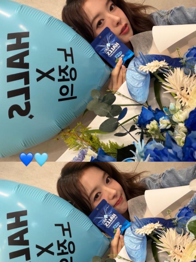 노정의 인별 호올스