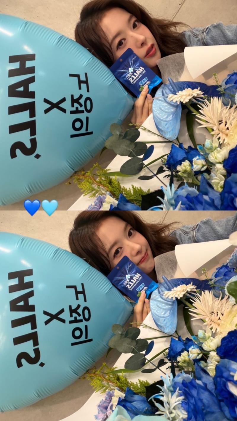 노정의 인별 호올스