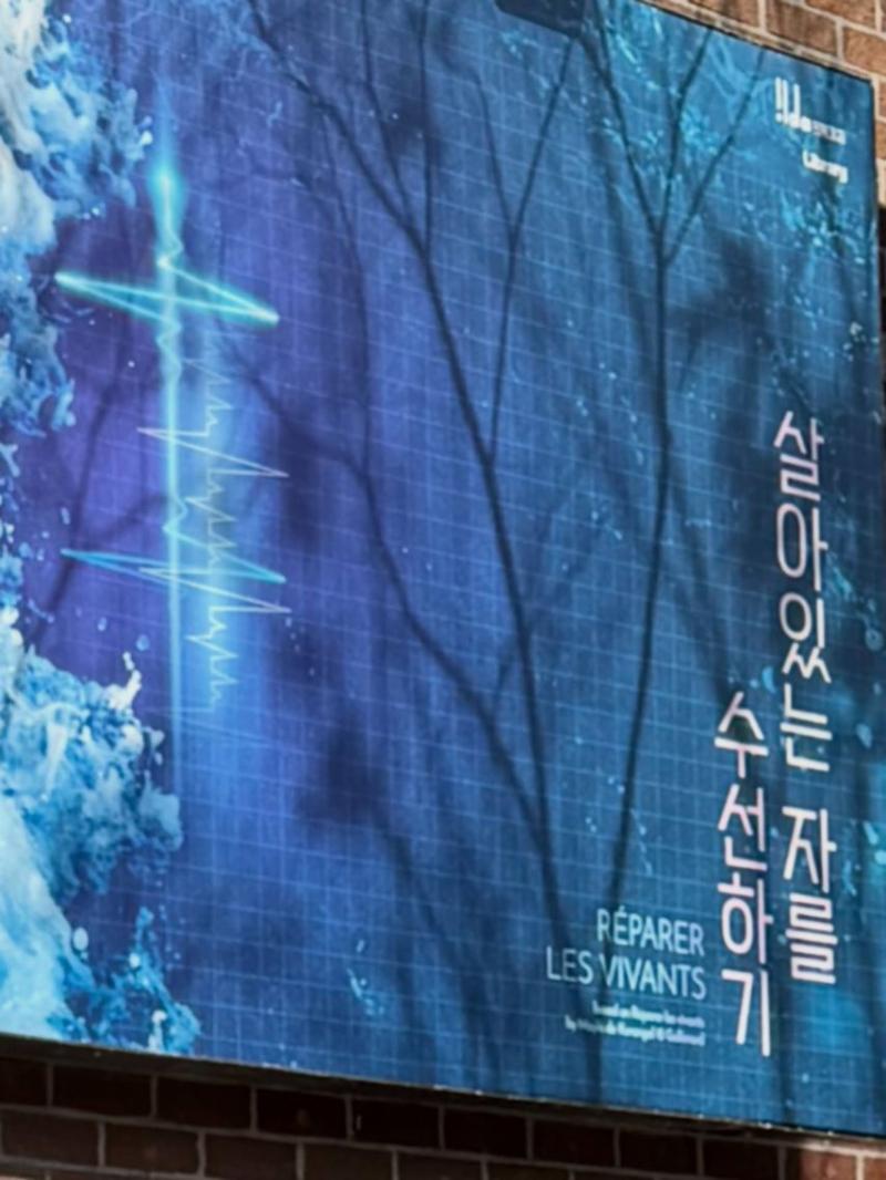 임수향 인별