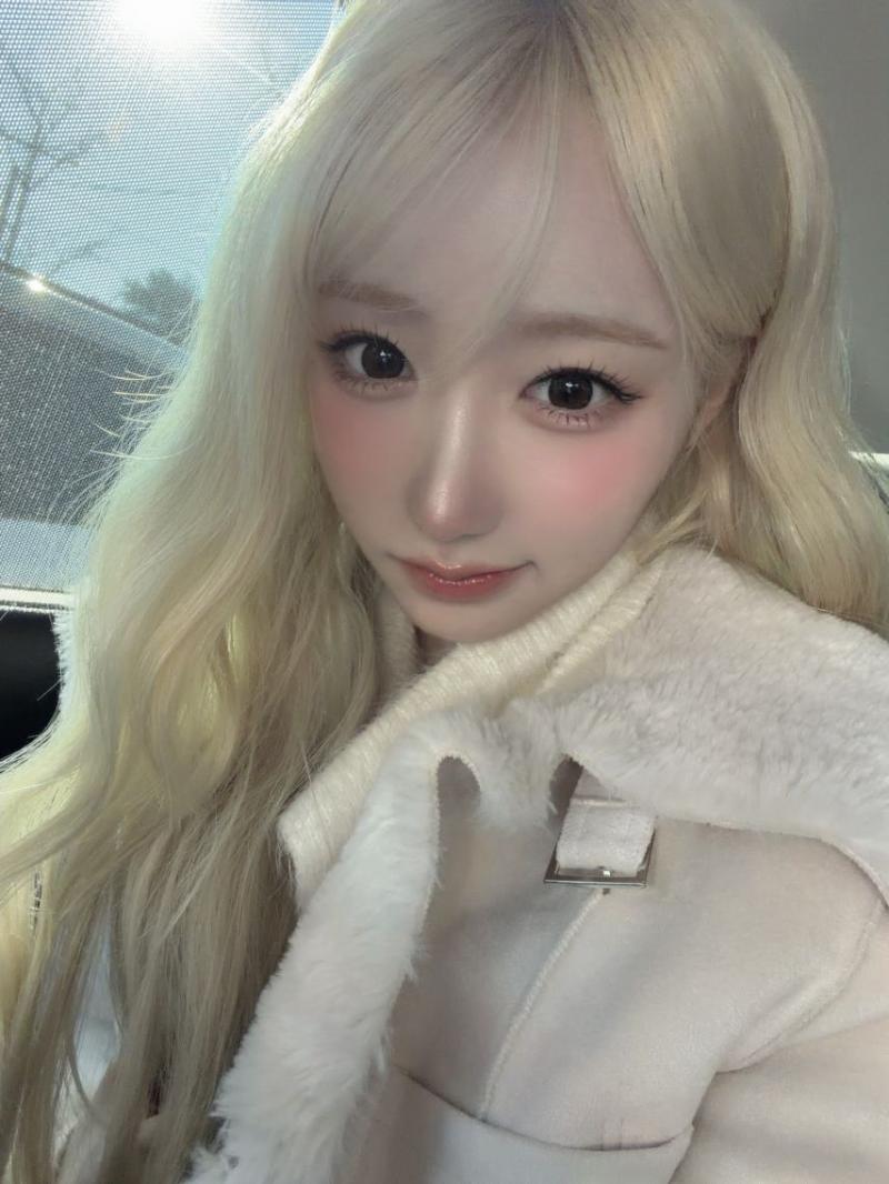 세이마이네임 메이