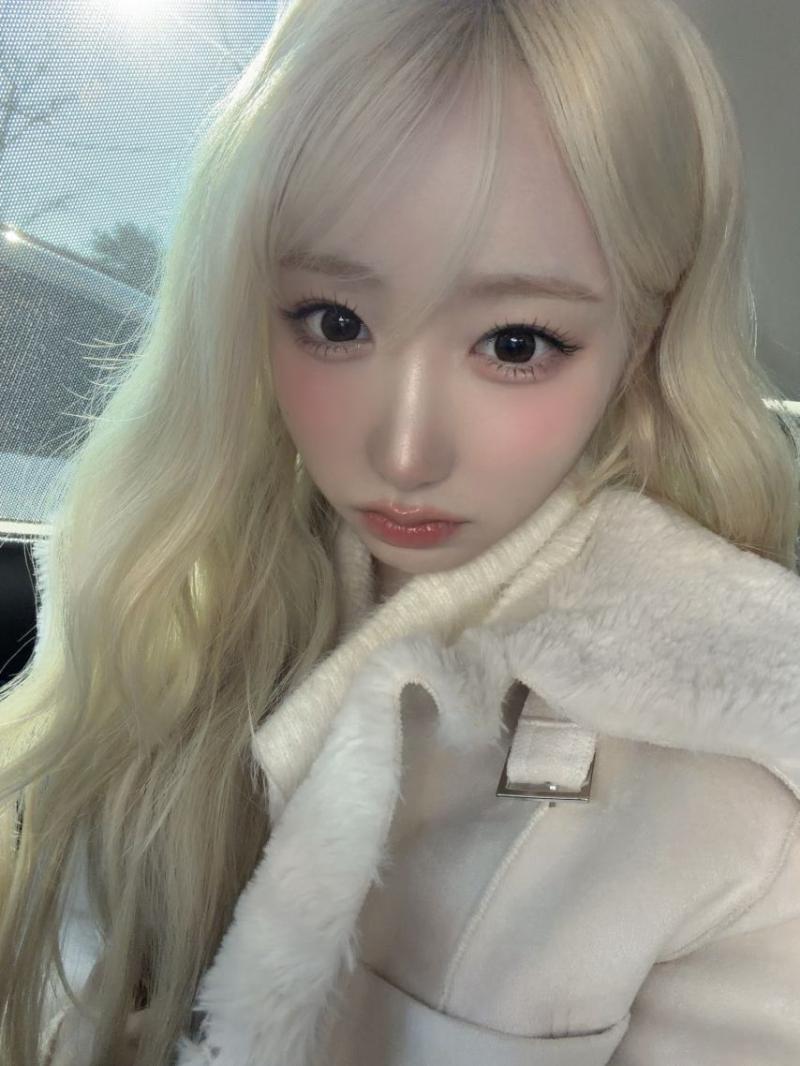 세이마이네임 메이