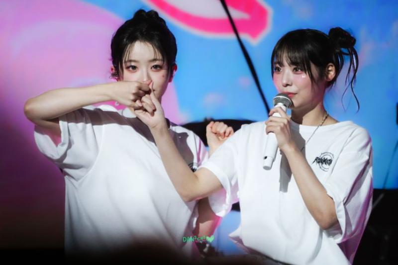 QWER 쵸단