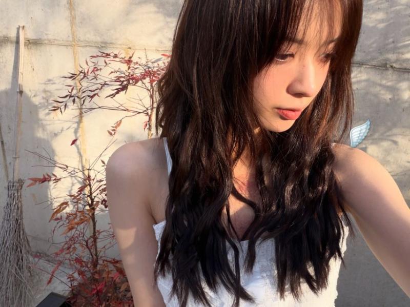 노정의