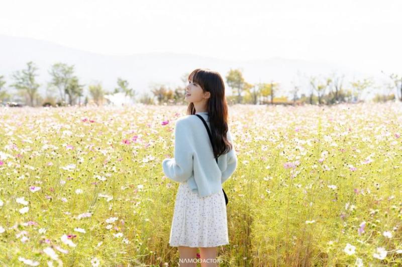 노정의