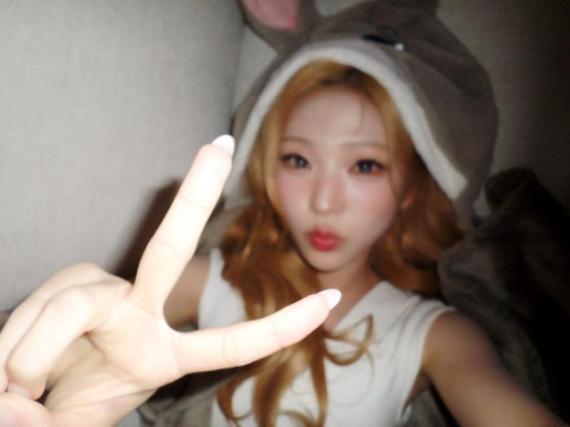 하츠투하츠 스텔라