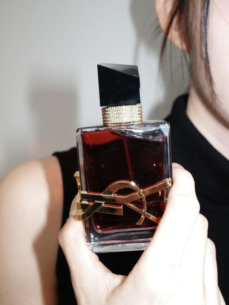 신시아 인별 YSL