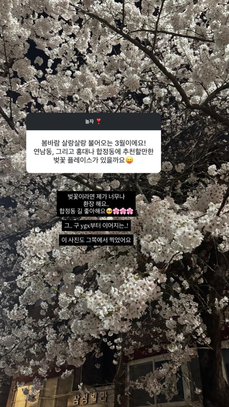 경리 인별 무물