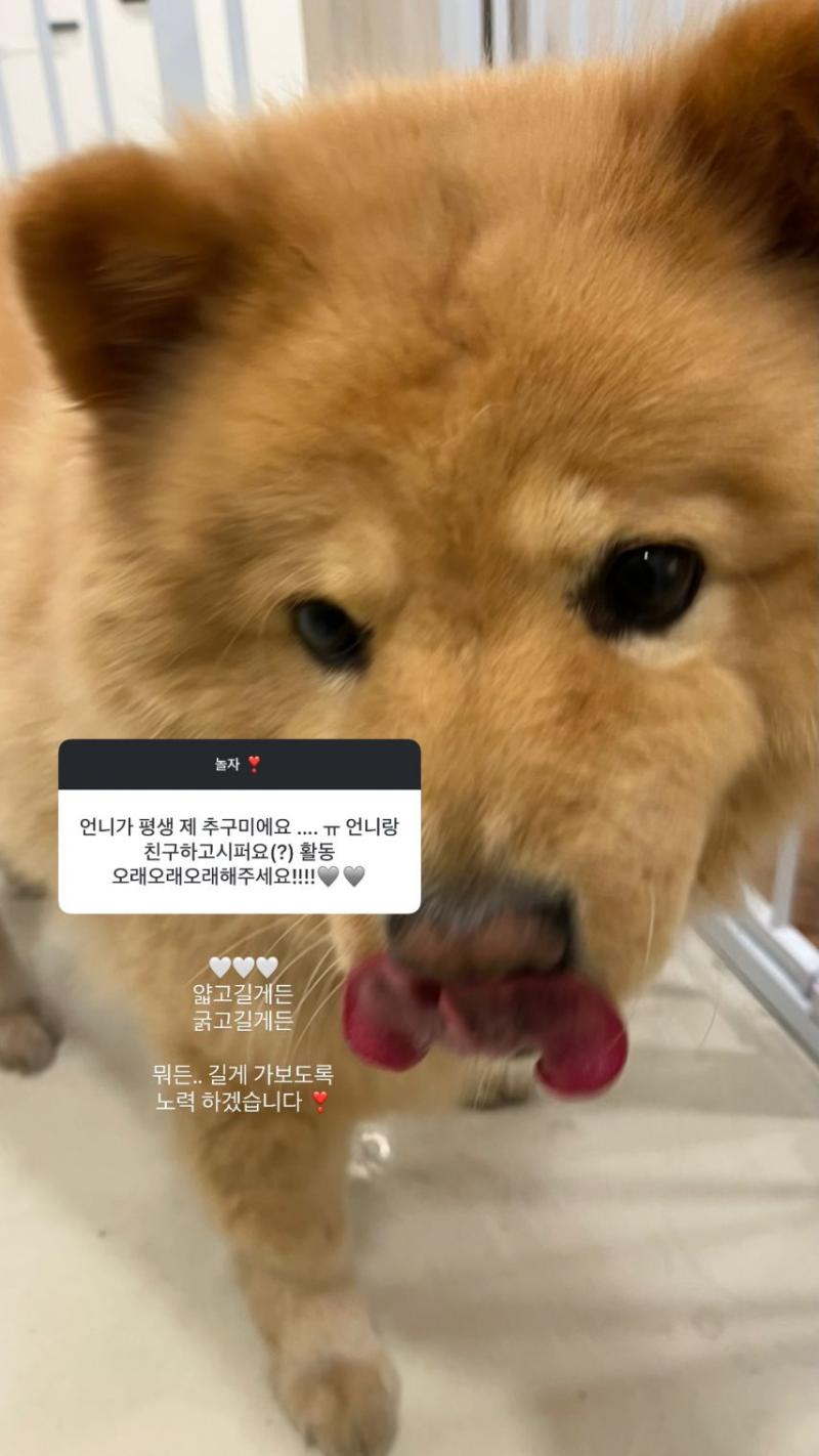 경리 인별 무물