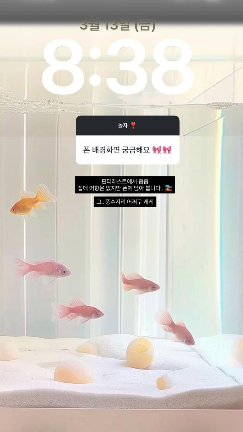 경리 인별 무물