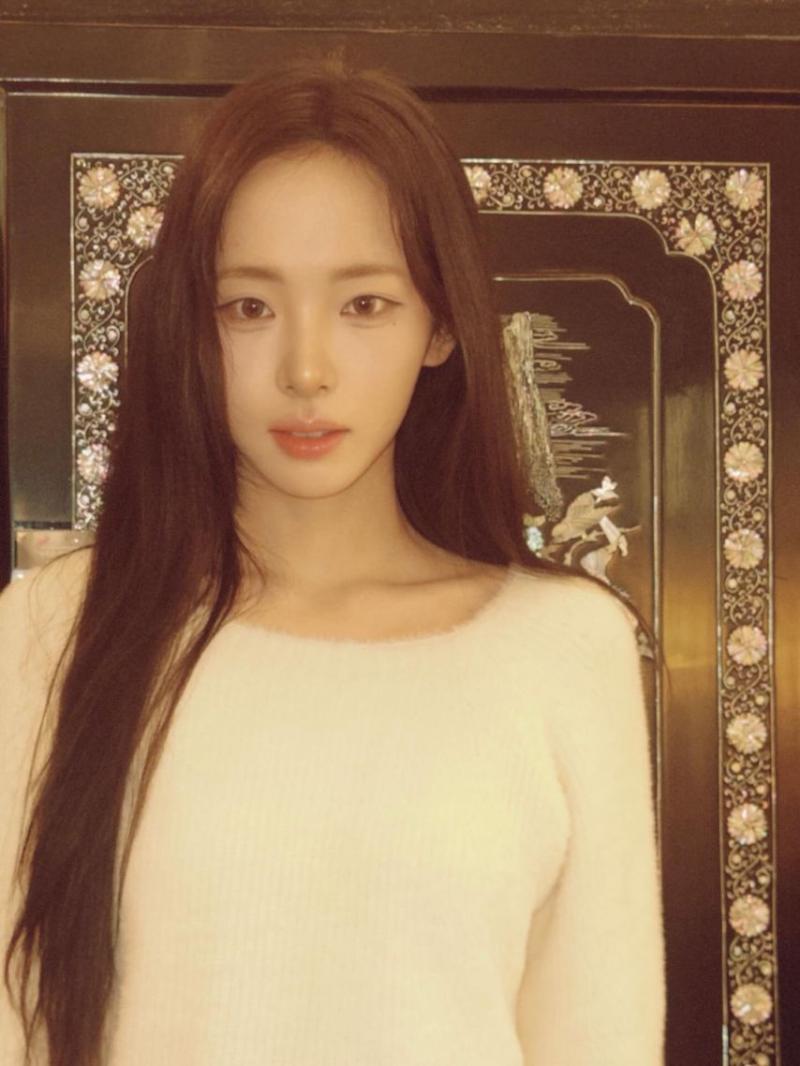 세이마이네임 슈이