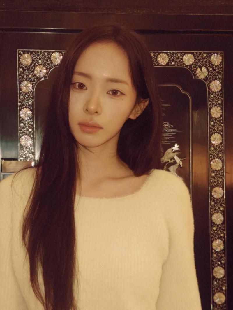 세이마이네임 슈이