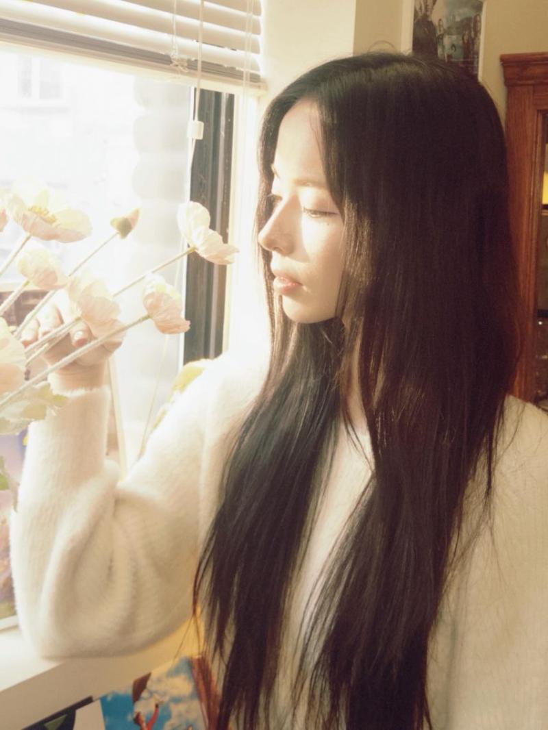 세이마이네임 슈이
