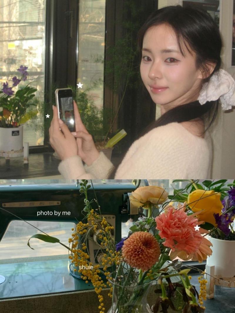 세이마이네임 슈이