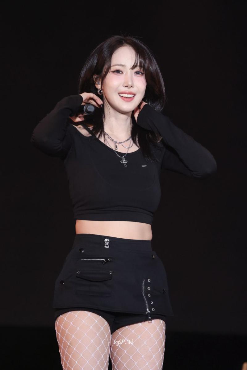 비비지 신비