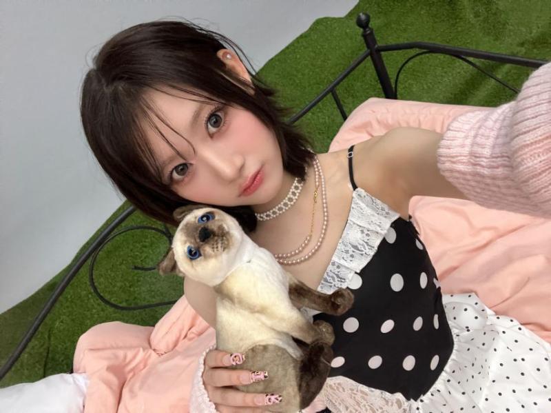 오드유스 마이카
