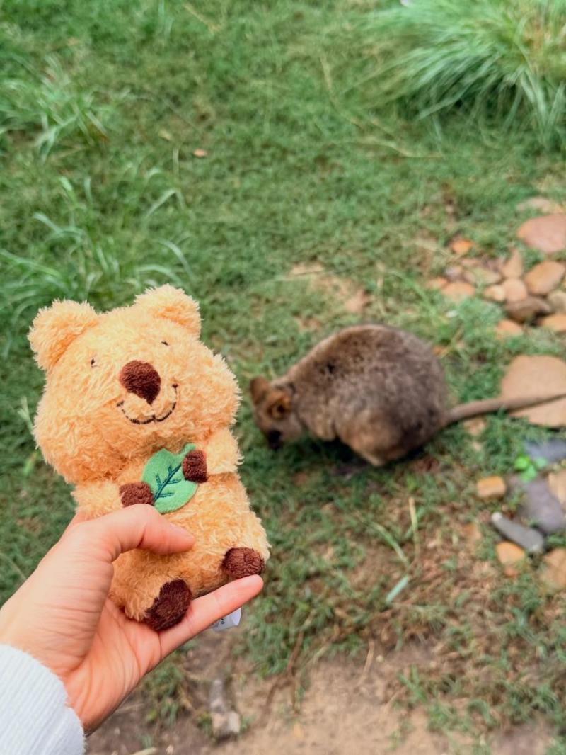 주시은 아나운서