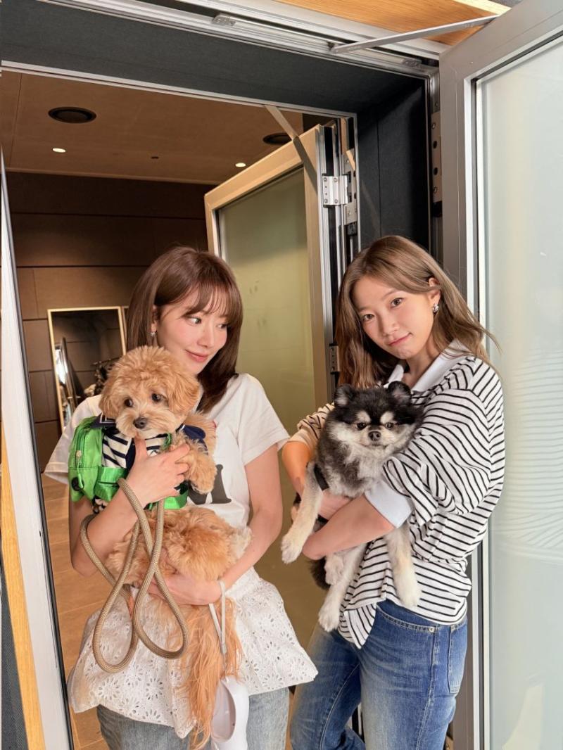 르세라핌 사쿠라 / 사쿠라 (허윤진,카즈하,홍은채)