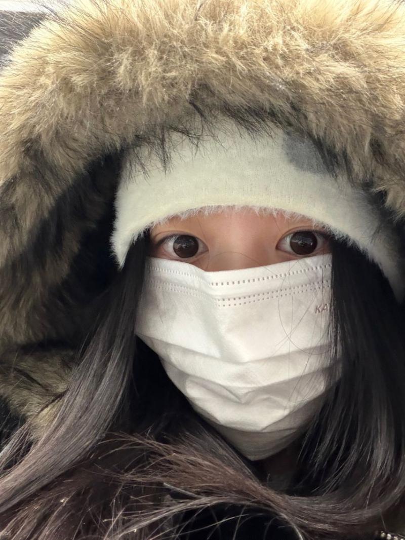 아일릿 민주
