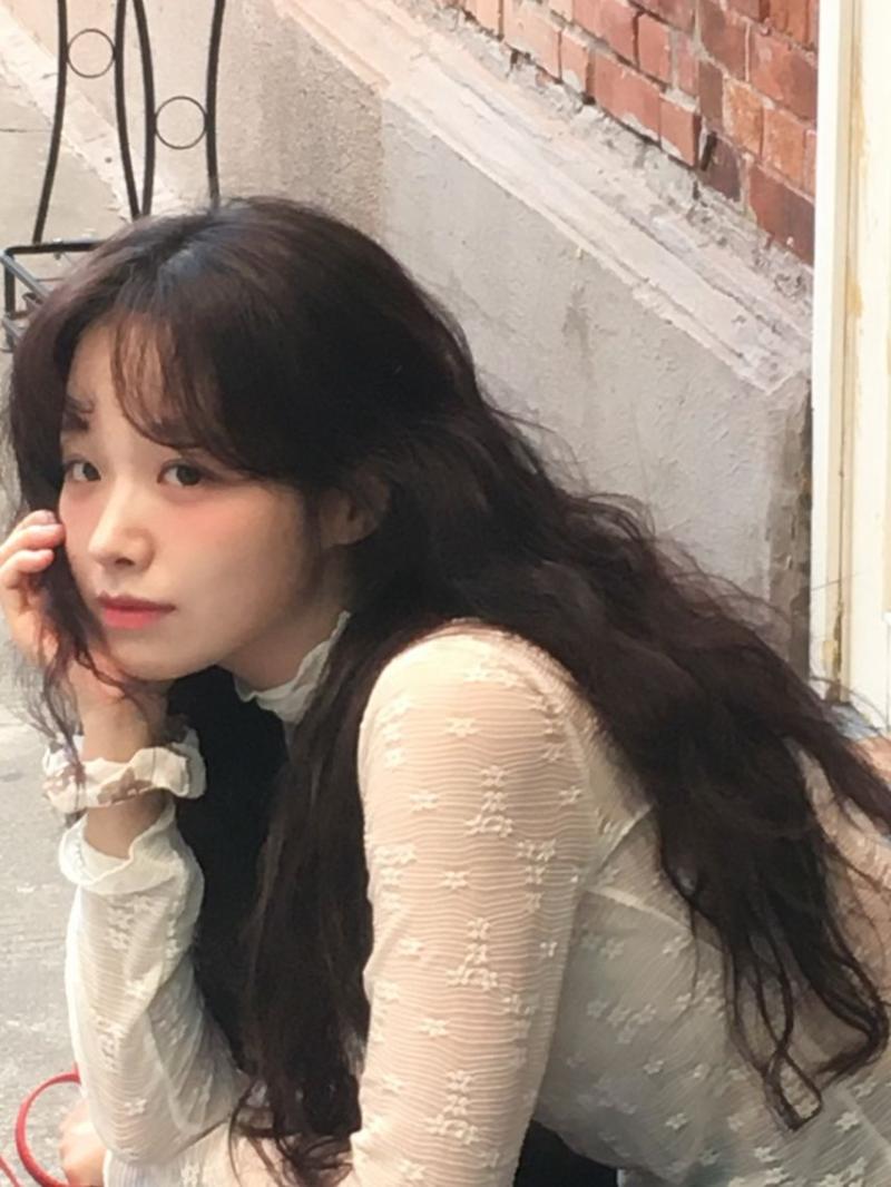 정보민