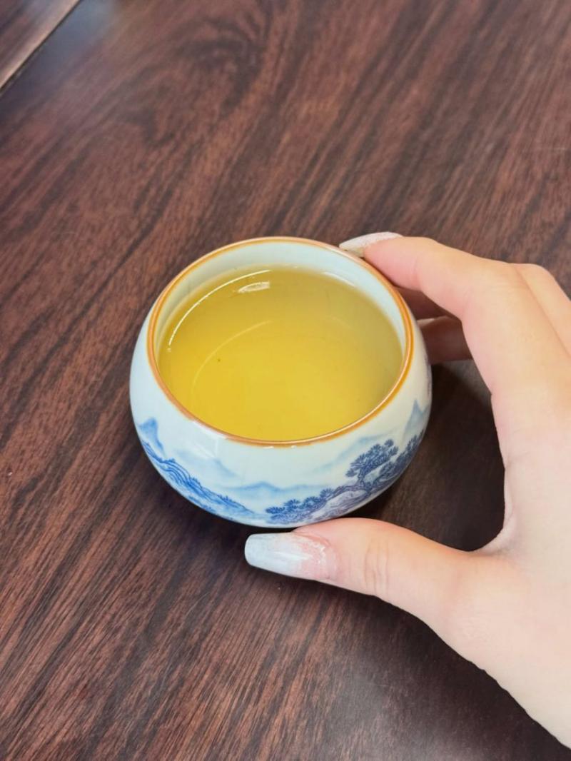 노지선