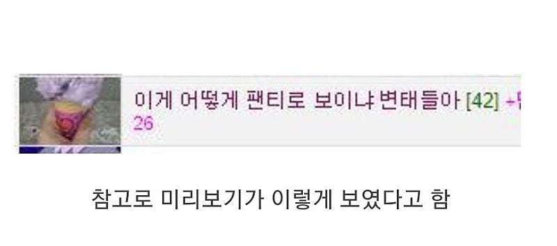 뭐??이게 팬티로 보인다고?