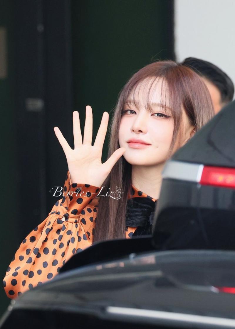 아이브 리즈