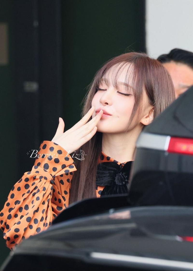 아이브 리즈