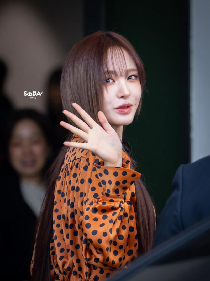 아이브 리즈