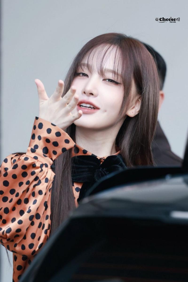 아이브 리즈