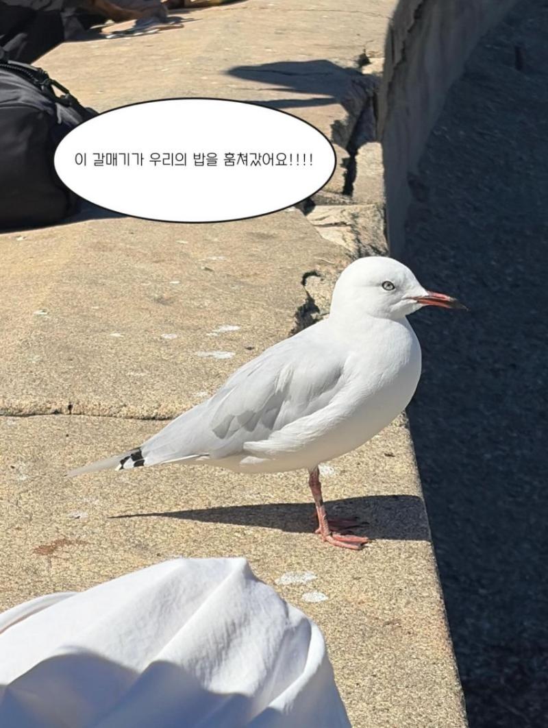 설현 인별