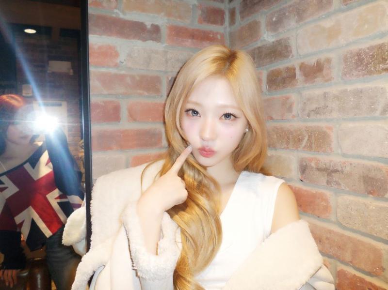 하츠투하츠 스텔라