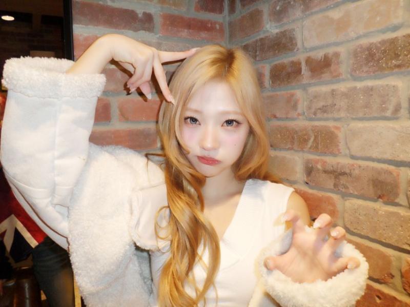 하츠투하츠 스텔라