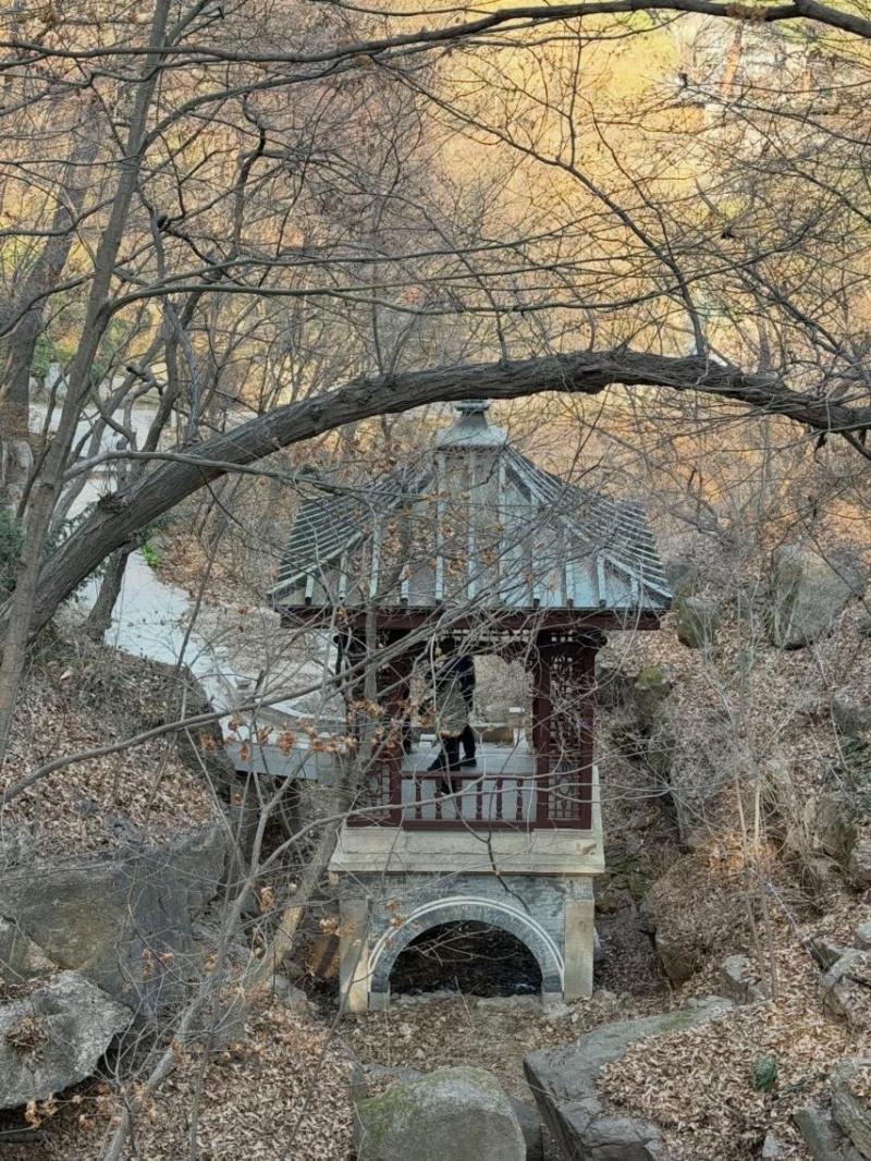 장규리