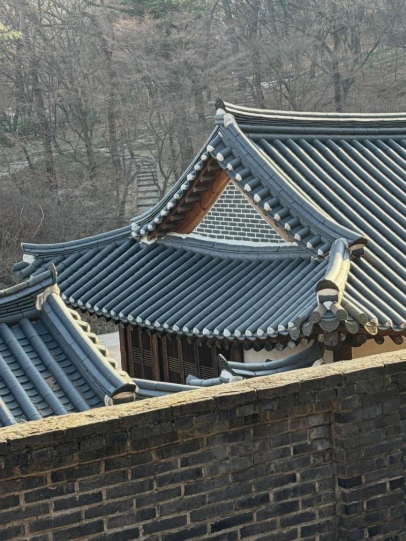장규리