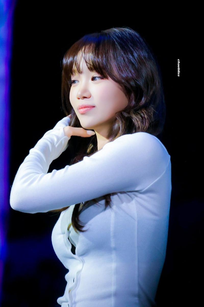 르세라핌 김채원